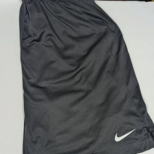 Nike Large Dri fit shorts